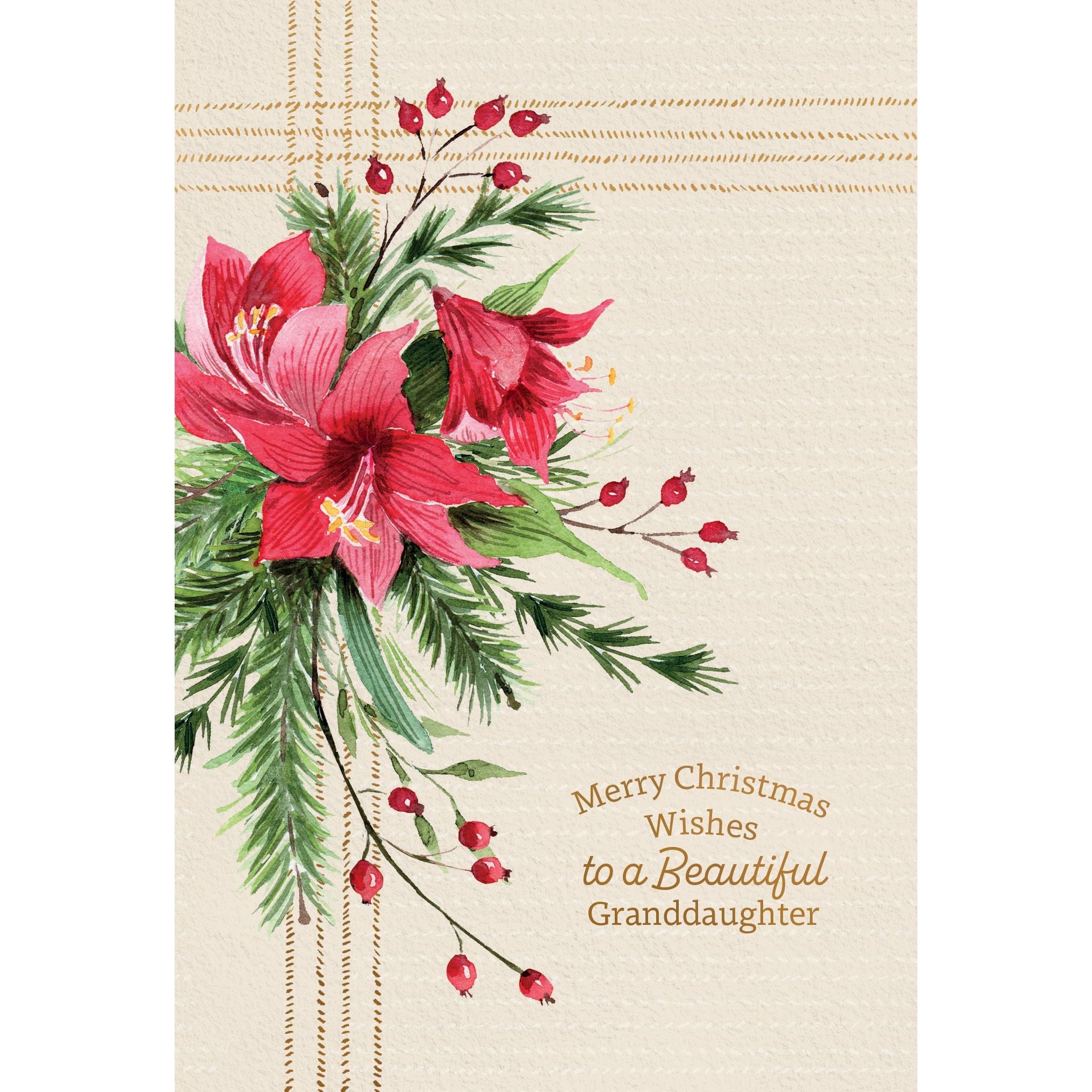 Amaryllis Magic Christmas Card Granddaughter
